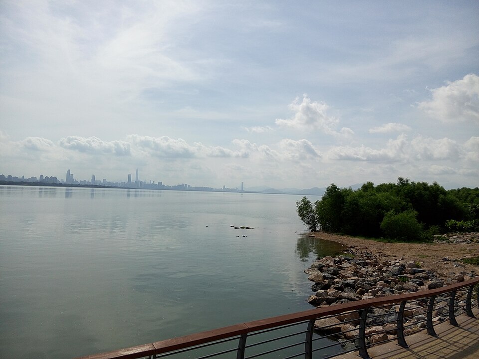 View across Shenzhen Bay from a waterfront boardwalk with the distant Shenzhen skyline visible through haze