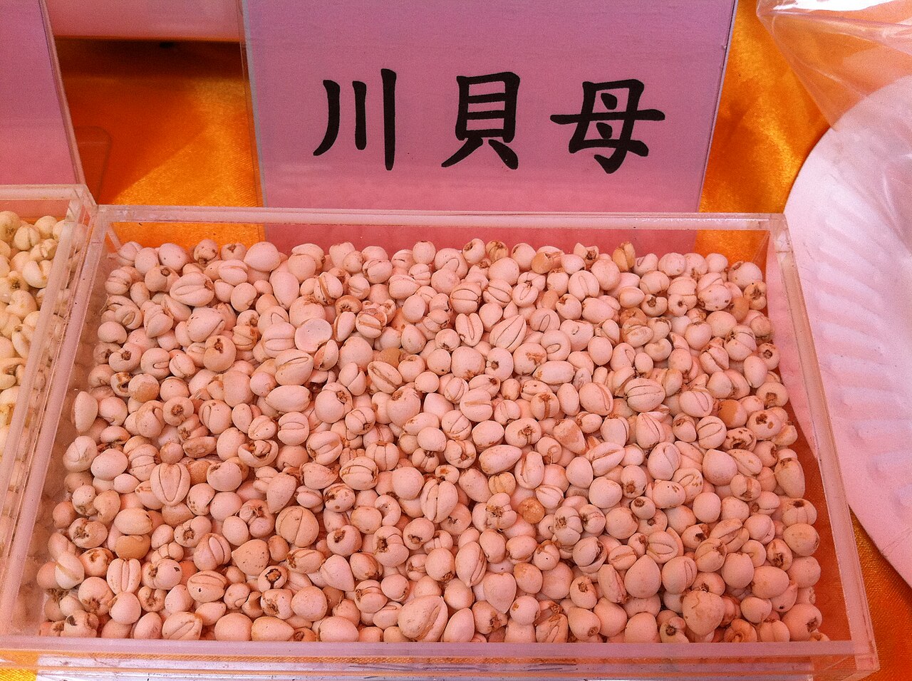 Dried Sichuan fritillary bulbs (川贝母) in a bin at a Chinese medicine shop