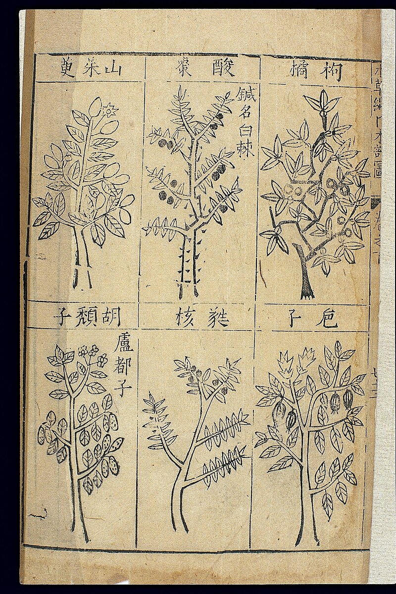 Woodblock-printed page from the Bencao Gangmu showing six labeled illustrations of medicinal fruit trees with Chinese text