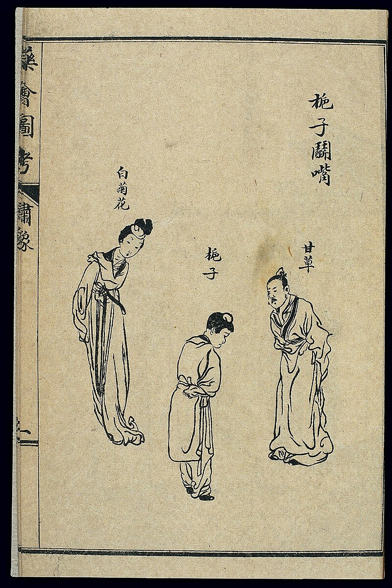 Qing dynasty woodblock print personifying three Chinese medicinal herbs as human figures with their names in classical Chinese