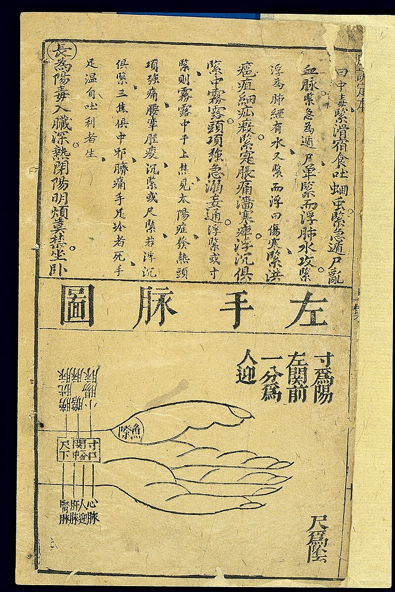 Chinese medical diagram of the left wrist pulse positions showing cun guan and chi mapped to internal organs