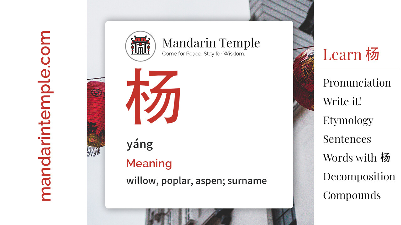Featured image for 杨 yáng Dictionary entry displaying the word's hanzi, pinyin and the Mandarin Temple logo and tagline.
