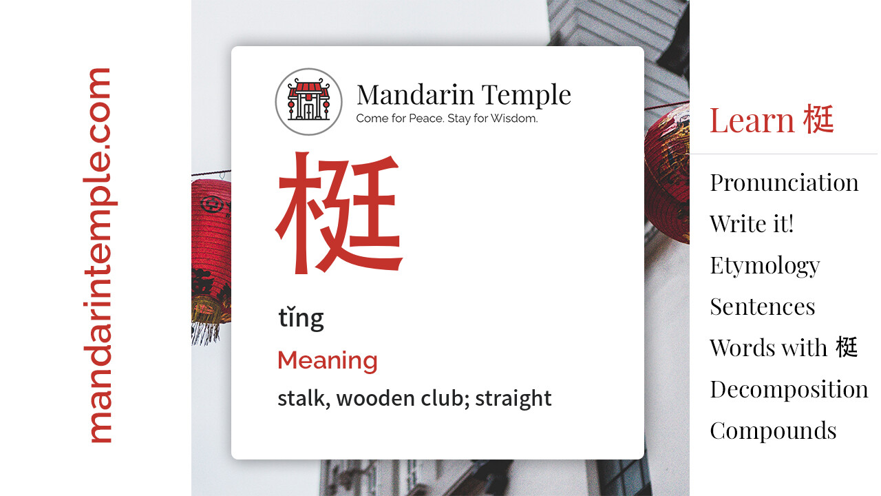 Featured image for 梃 tǐng Dictionary entry displaying the word's hanzi, pinyin and the Mandarin Temple logo and tagline.
