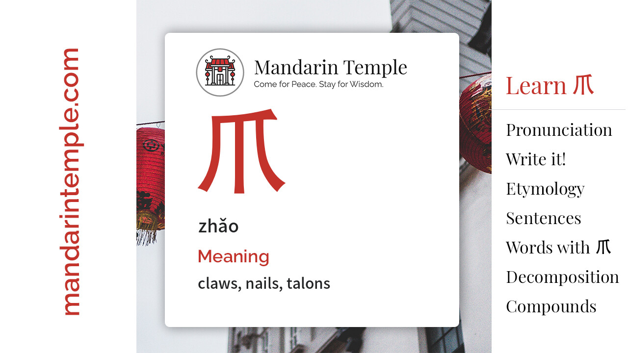 Featured image for 爪 zhǎo Dictionary entry displaying the word's hanzi, pinyin and the Mandarin Temple logo and tagline.