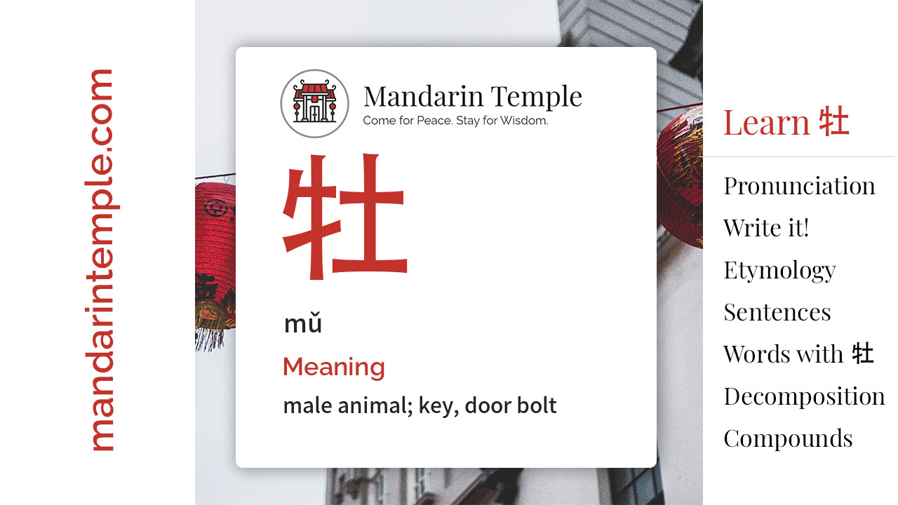 Featured image for 牡 mǔ Dictionary entry displaying the word's hanzi, pinyin and the Mandarin Temple logo and tagline.