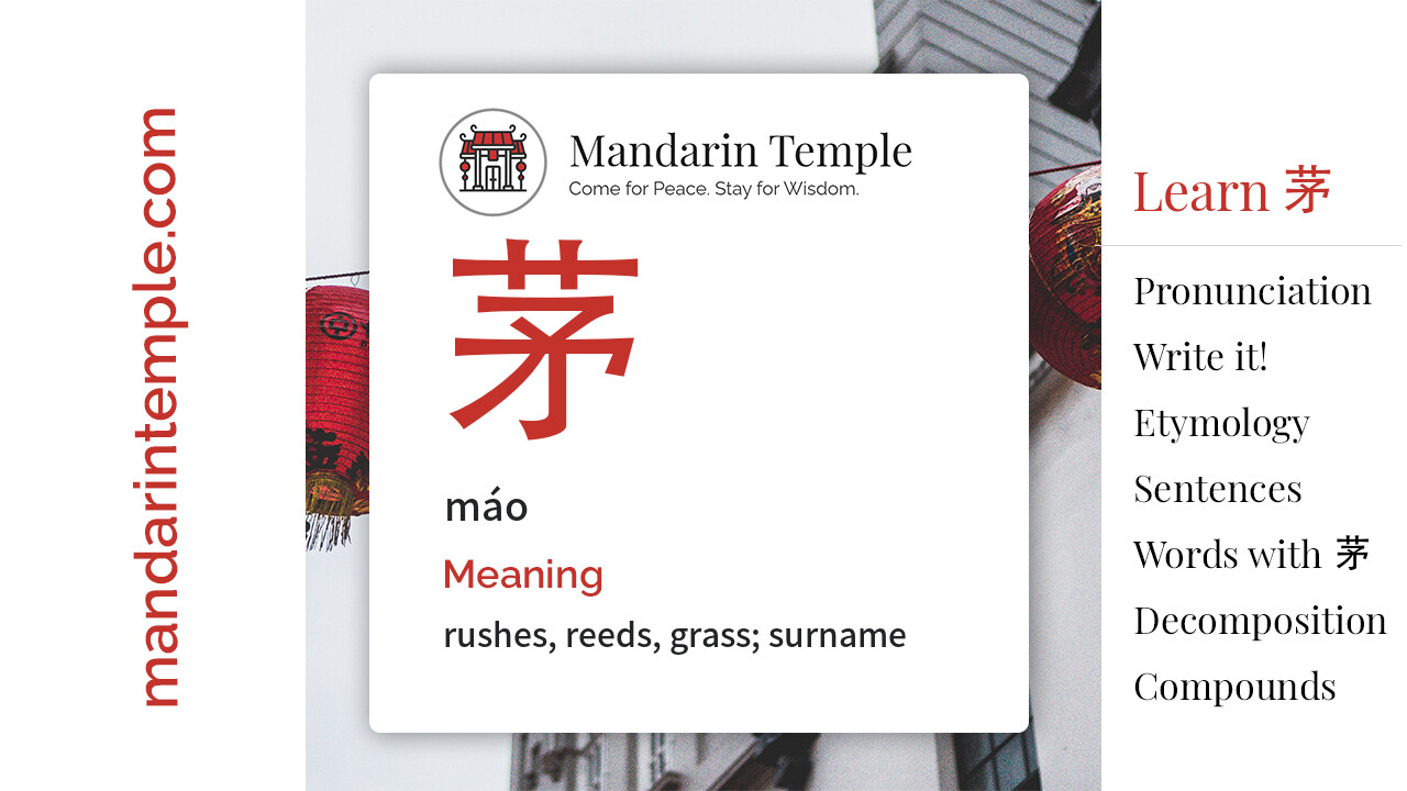 Featured image for 茅 máo Dictionary entry displaying the word's hanzi, pinyin and the Mandarin Temple logo and tagline.
