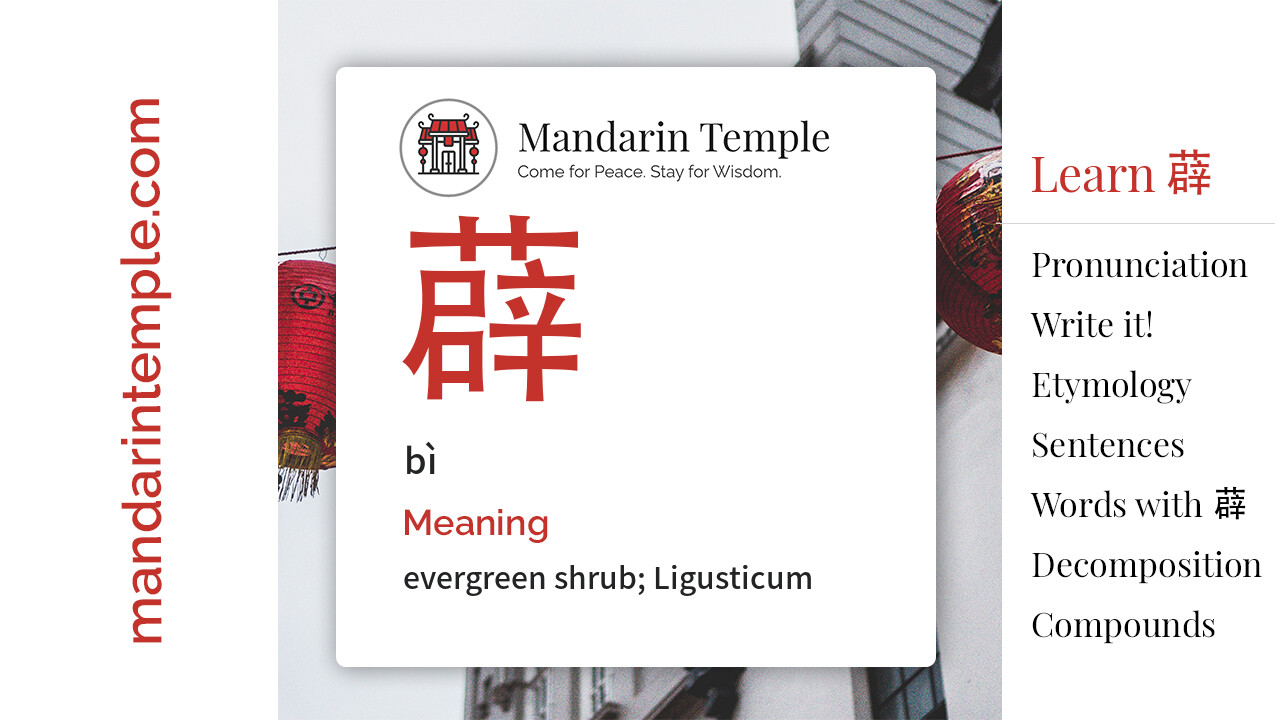 Featured image for 薜 bì Dictionary entry displaying the word's hanzi, pinyin and the Mandarin Temple logo and tagline.