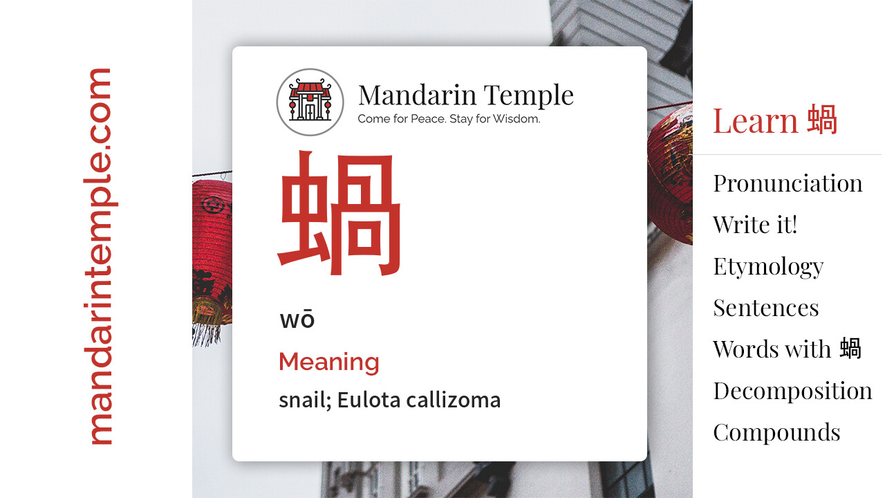 Featured image for 蝸 wō Dictionary entry displaying the word's hanzi, pinyin and the Mandarin Temple logo and tagline.