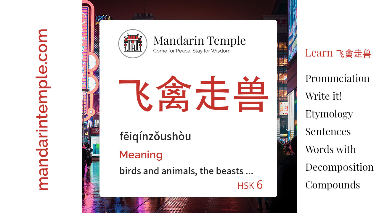 Featured image for 飞禽走兽 fēiqínzǒushòu Dictionary entry displaying the word's hanzi, pinyin and the Mandarin Temple logo and tagline.