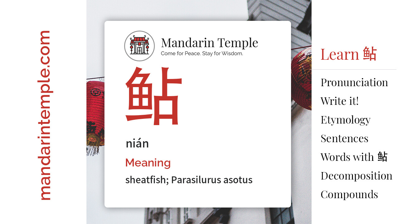 Featured image for 鲇 nián Dictionary entry displaying the word's hanzi, pinyin and the Mandarin Temple logo and tagline.