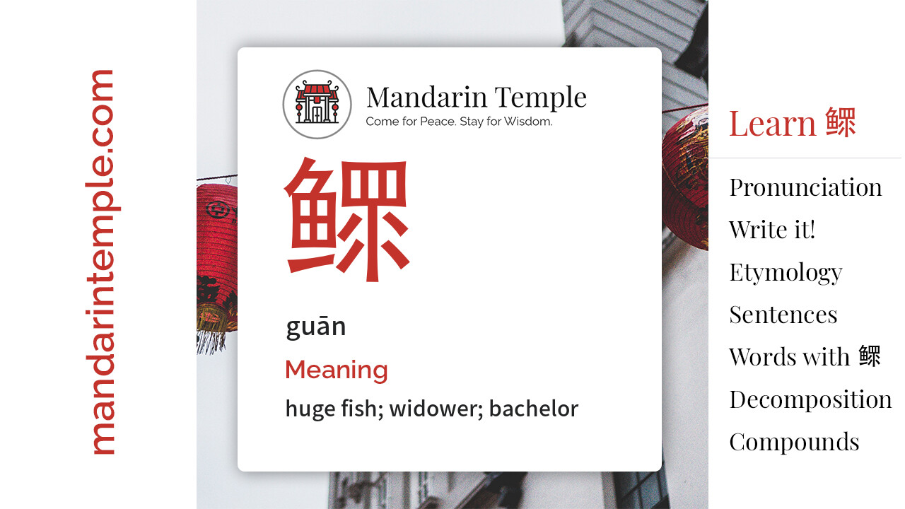Featured image for 鳏 guān Dictionary entry displaying the word's hanzi, pinyin and the Mandarin Temple logo and tagline.