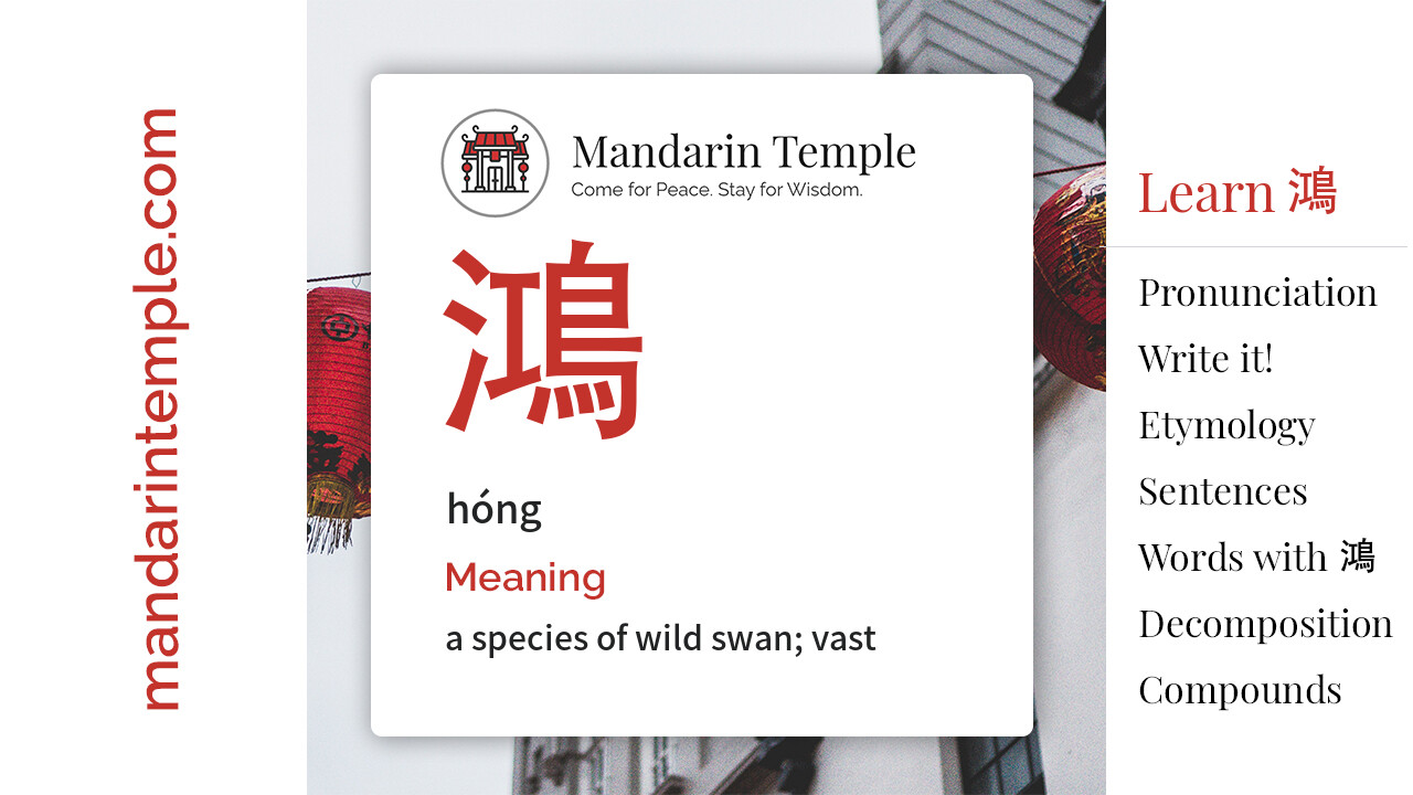Featured image for 鴻 hóng Dictionary entry displaying the word's hanzi, pinyin and the Mandarin Temple logo and tagline.