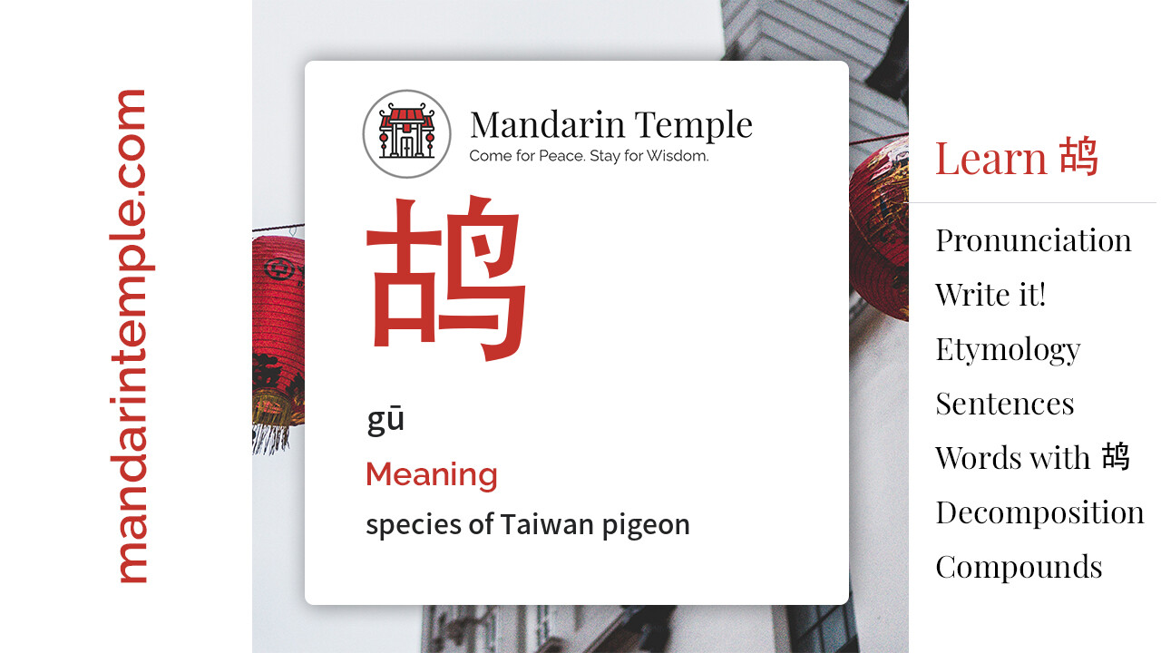 Featured image for 鸪 gū Dictionary entry displaying the word's hanzi, pinyin and the Mandarin Temple logo and tagline.