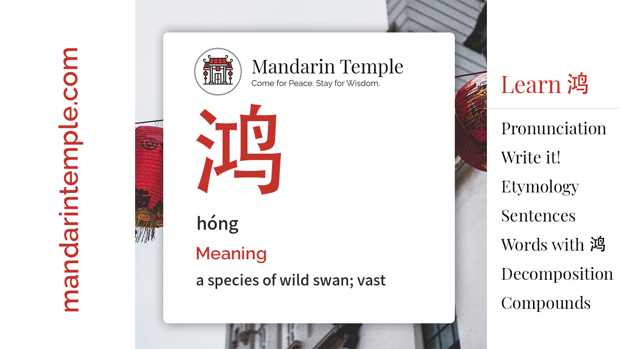 Featured image for 鸿 hóng Dictionary entry displaying the word's hanzi, pinyin and the Mandarin Temple logo and tagline.