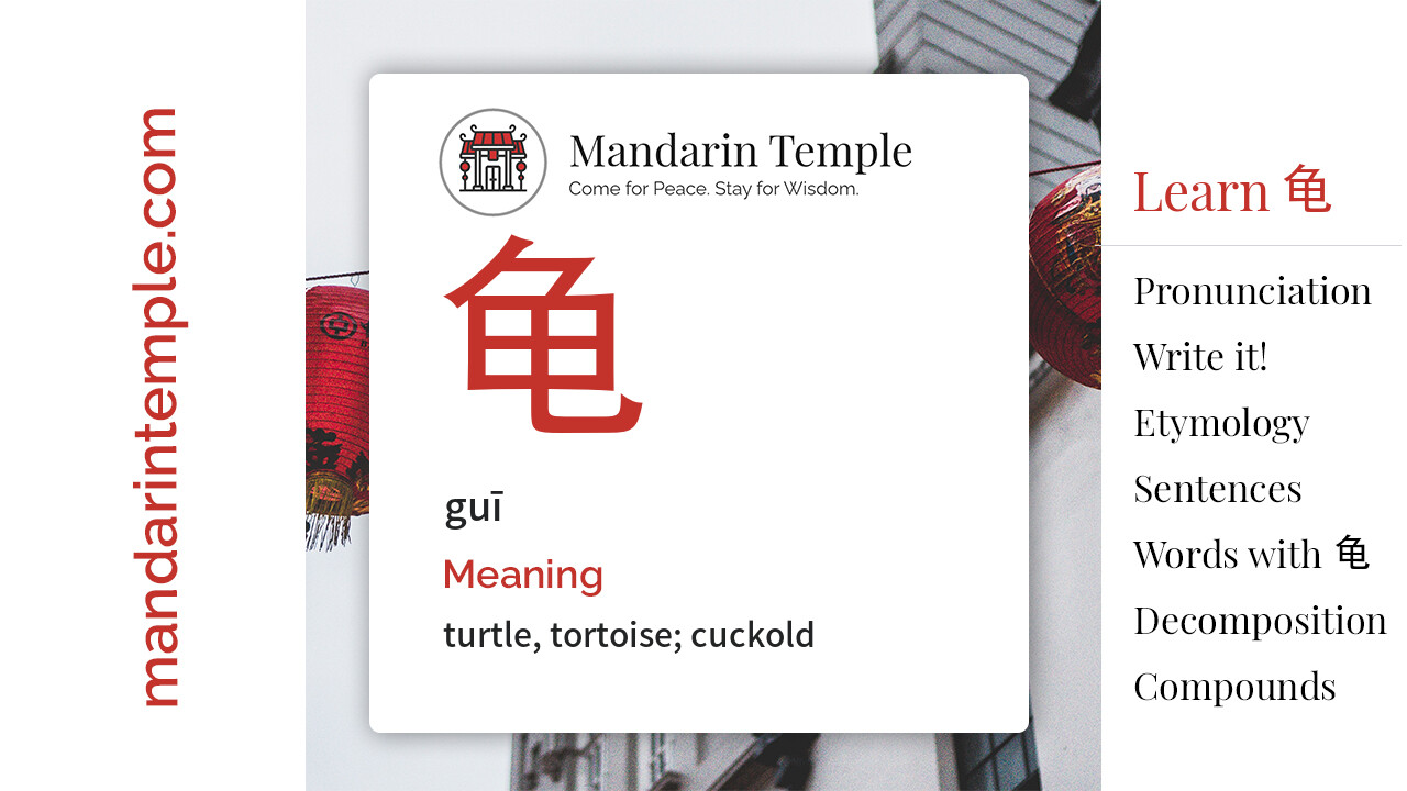 Featured image for 龟 guī Dictionary entry displaying the word's hanzi, pinyin and the Mandarin Temple logo and tagline.